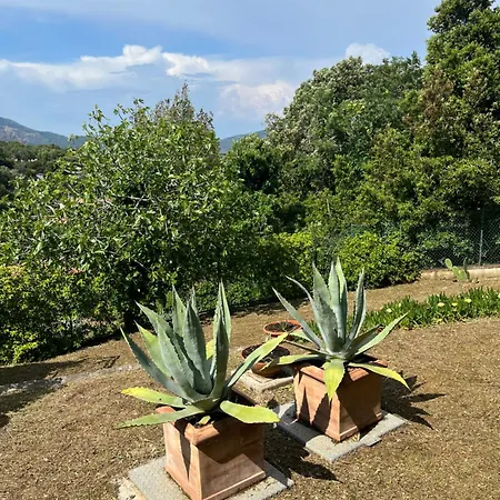 Residenza Le Agavi In Apartamento