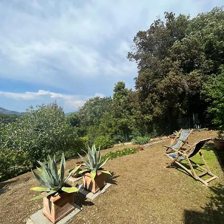 Residenza Le Agavi In Apartamento